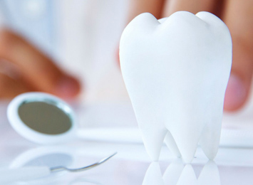 Tooth Therapy Dental Clinic